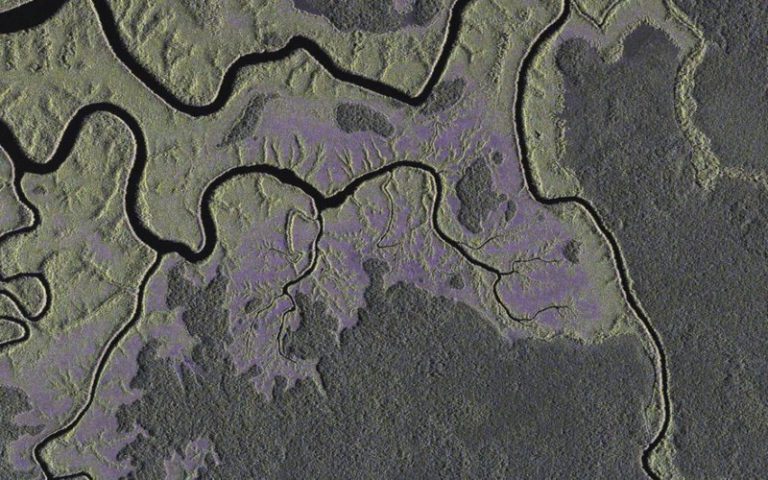 Olam s’engage à suspendre pendant un an la déforestation au Gabon