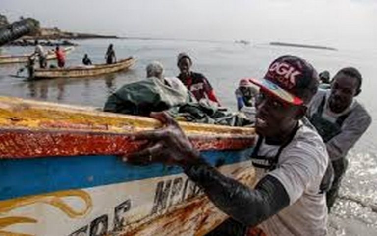 La léthargie de la pêche continentale dans les départements de Louga et de Dagana