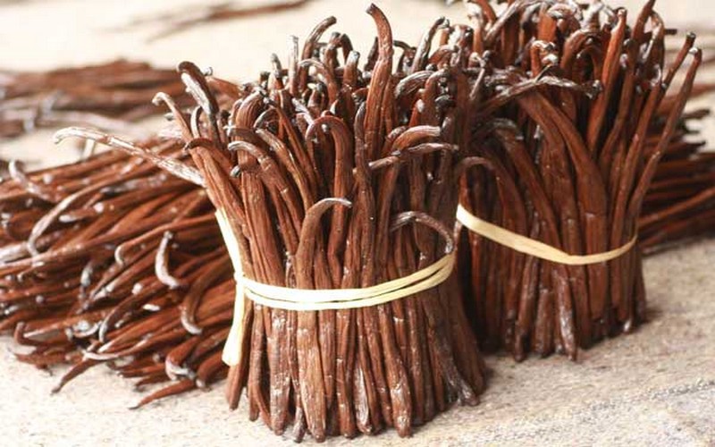 Vers le développement d’un substitut de la vanille malgache dans la fabrication d’arômes