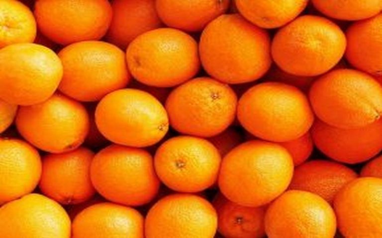 La Nile Establishment for International Trade se fixe pour objectif d’exporter 60 000 tonnes d’oranges en 2017