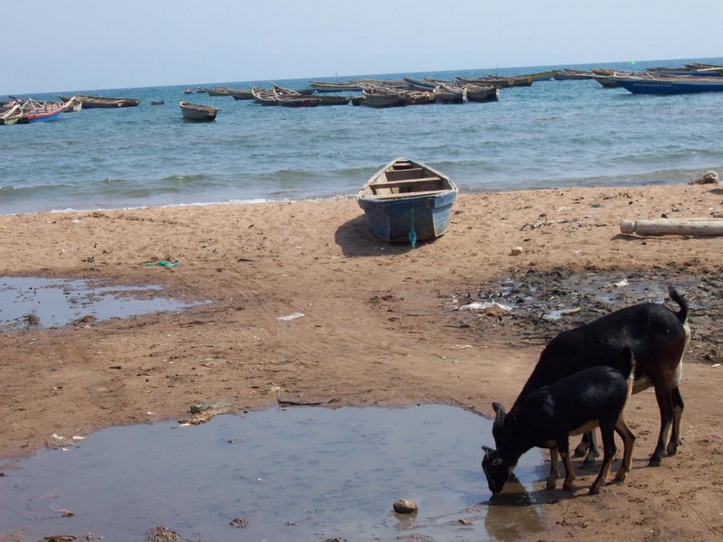 Le Lac Tanganyika, un lac de superlatifs, est le « Lac le plus menacé de l’année 2017 », selon Global Nature Fund (GNF)