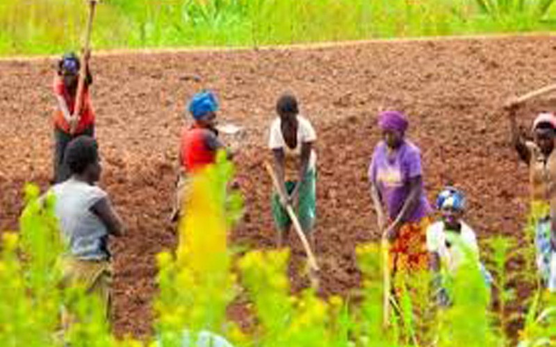 Pour endiguer le changement climatique, le Sénégal se dote de deux projets de renforcement de la sécurité alimentaire