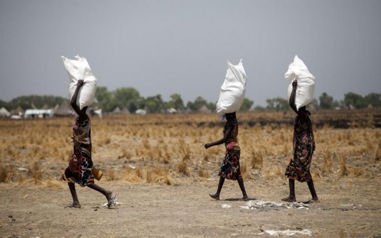 Douze millions de personnes frappées par la crise alimentaire en Afrique de l&rsquo;Est