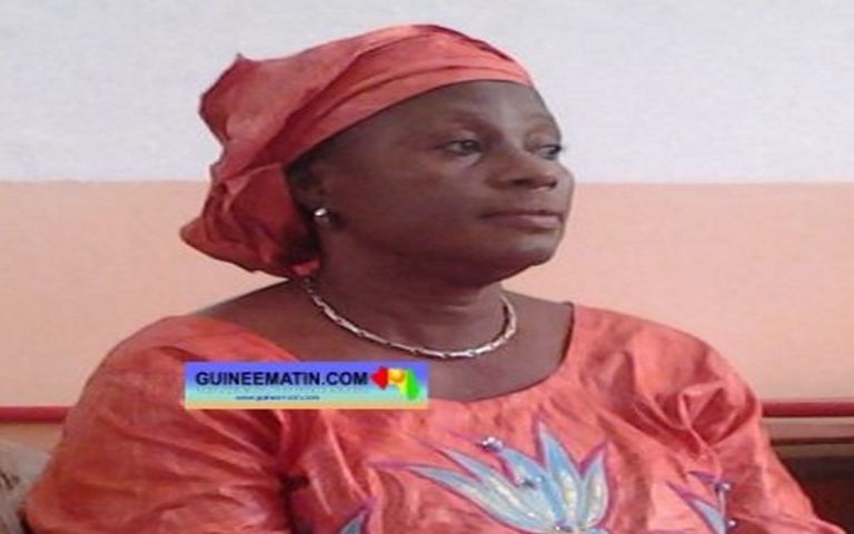 Le limogeage du ministre de l’environnement de la Guinée crée la polémique