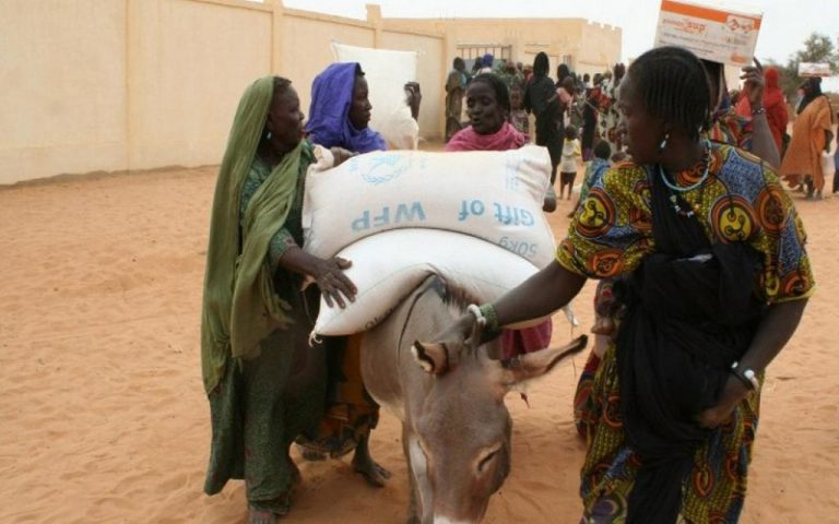 Les habitants de Gourma Rharous désespérés par la sécheresse qui frappe cette partie du Mali