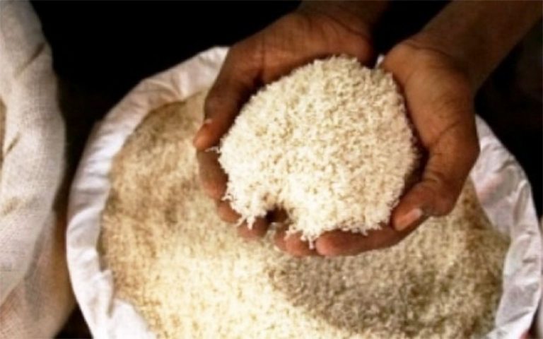 « Natal Mbaay » s’achemine-t-il vers la création des plateformes régionales de commercialisation du riz local ?