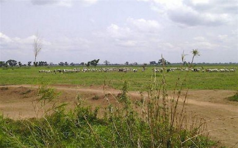 La mise en place d’un fonds agricole de 2,4 milliards $ au Nigéria est applaudie par l’exécutif