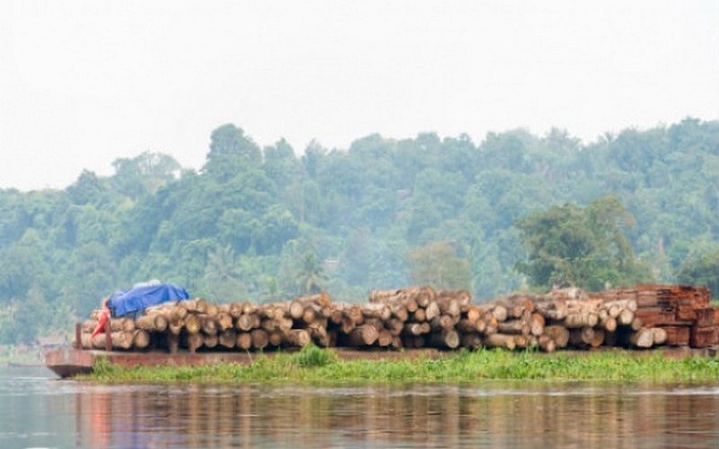 Le Cameroun associe le clergé à la lutte contre le changement climatique