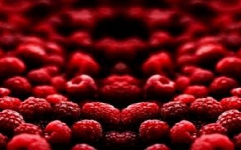 Maroc : Bientôt un festival des petits fruits rouges à Larache