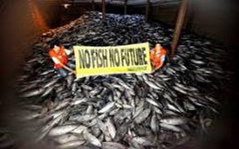 Gouvernance des pêches : quatre Etats africains demandent à rallier la Fisheries Transparency Initiative (FiTI)