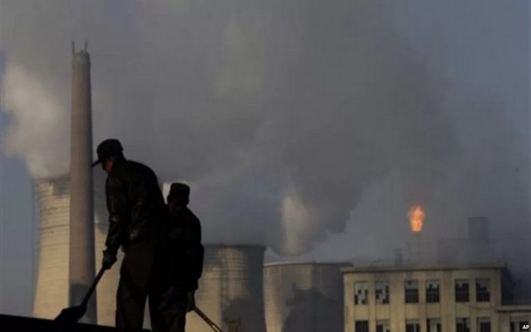 Le développement durable en Afrique au cœur du 9ème Forum du carbone