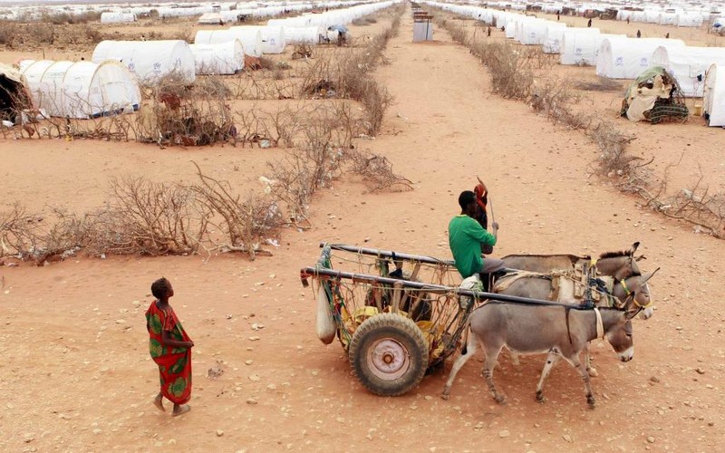 Selon André Kamga « les événements climatiques spectaculaires vont continuer dans les années à venir »