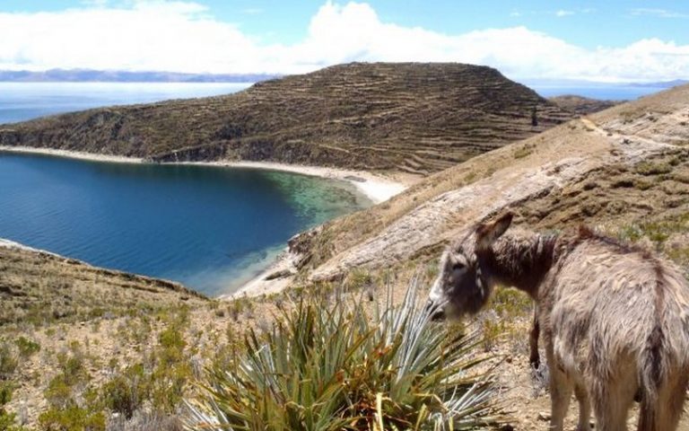 Biodiversité marocaine : un atelier pour faciliter l’accès aux ressources génétiques
