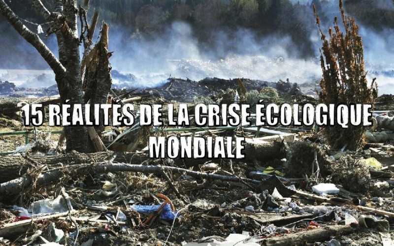 Comment vaincre le désastre écologique ?