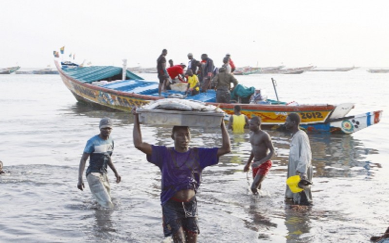Sénégal : les acteurs de la pêche continentale en conclave sur son avenir à Kolda