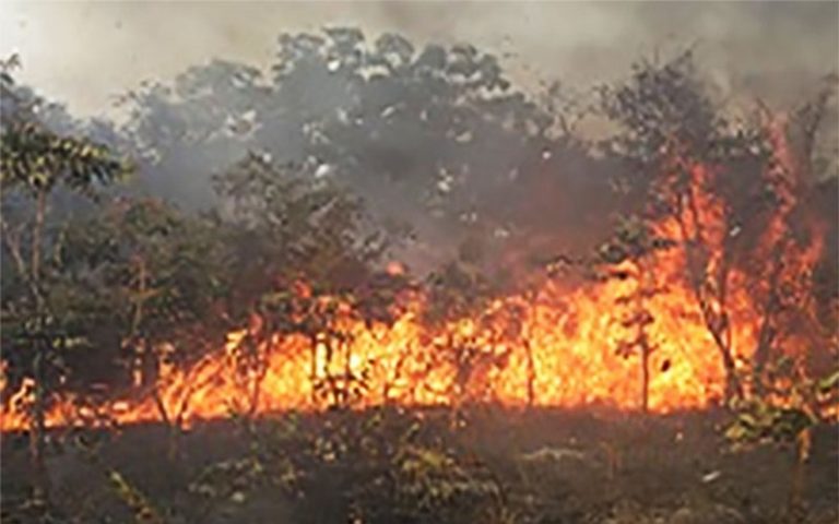 Le Ranch de Dolly perd 4310 hectares à cause d’un incendie