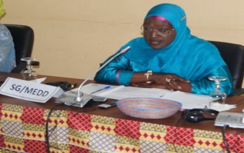 « Sept des dix pays les plus menacés par le changement climatique sont en Afrique », dixit Ramatoulaye Dieng Ndiaye