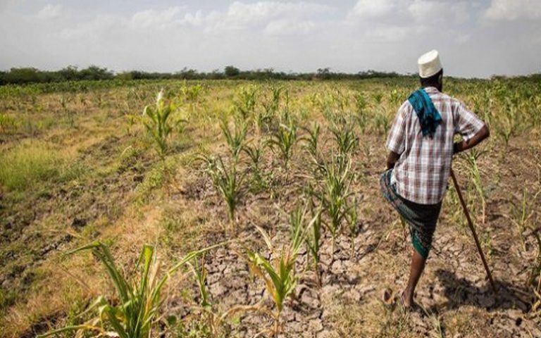 Plus de 17 millions de personnes hantées par la sécheresse dans la Corne de l’Afrique