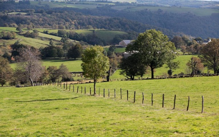 L’Europe envisage une pétition pour la protection durable des sols