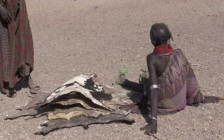 La sécheresse dicte sa loi aux mirages du Turkana du Kenya