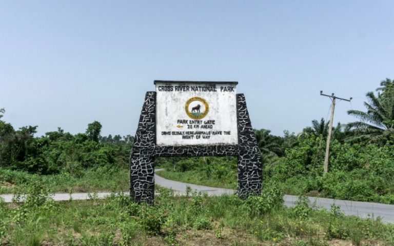 Les populations nigérianes s’opposent à la construction d’une autoroute au cœur du parc national de Cross River