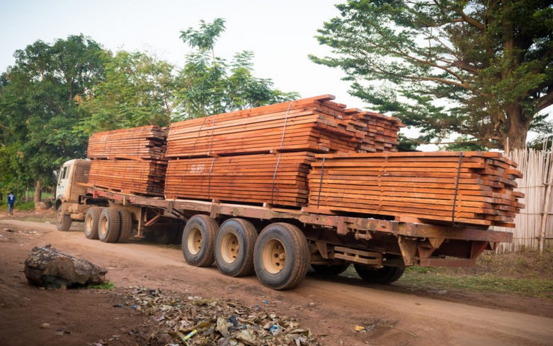 Quel rôle joue l’AFD dans l’exploitation forestière en Afrique ?