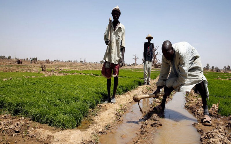 « Innovation financière », une voie pour l’Afrique d’atteindre « une révolution doublement verte »