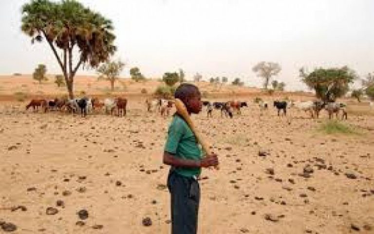 Un atelier initié en Côte d’Ivoire pour la révision et la création de curricula liés aux changements climatiques