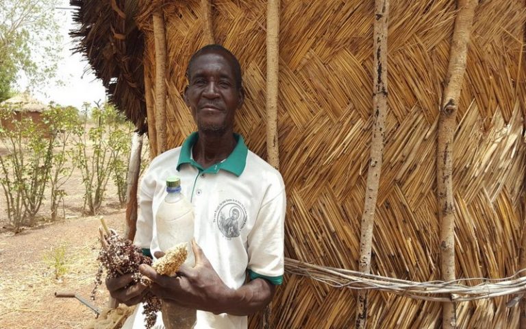 Avec le développement de l’agroécologie, l’Afrique espère mettre fin au changement climatique et la malnutrition