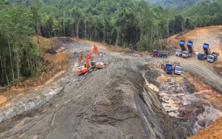 La chine dicte sa loi aux forêts mozambicaines