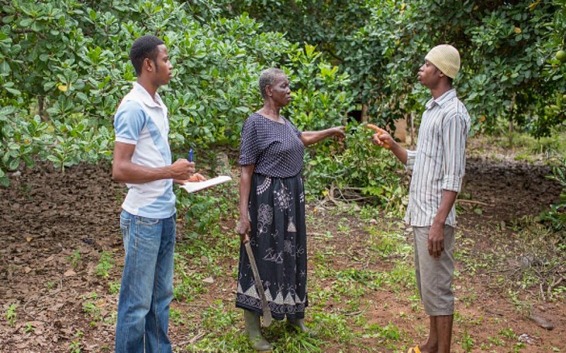 Les jeunes agriculteurs africains rêvent de devenir des entrepreneurs actifs