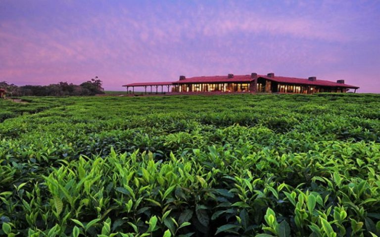 One&Only, la version écolo-responsable arrive au Rwanda afin de répondre aux critères spécifiques de la RSE