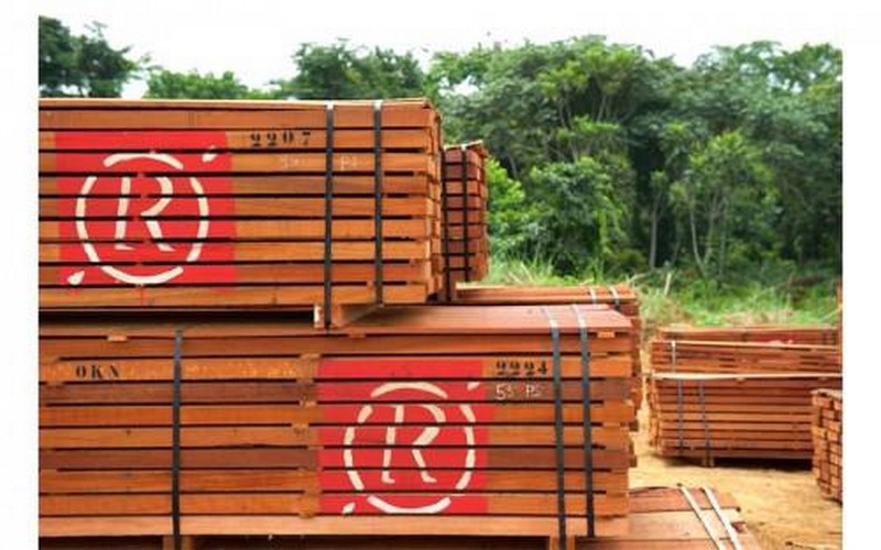 PROPARCO accorde un prêt de 15 millions d’euros à Rougier Afrique International pour accompagner la gestion durable des forêts en Afrique Centrale