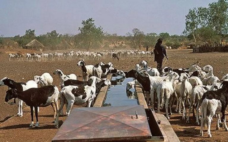 Sénégal : Mahan Ka invite à la protection du Ranch de Dolly contre les feux de brousse