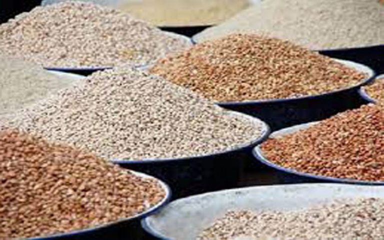 Sénégal : selon Boubacar Diallo, Fatick est capable d’« assurer sa sécurité alimentaire »