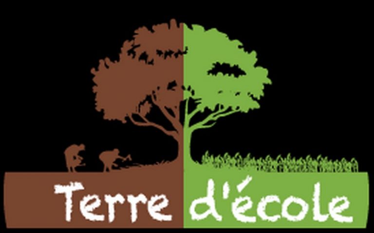 Le Congo réussit à relever le défi de former une nouvelle génération d’hommes et de femmes tout à la fois bien éduqués et respectueux de la nature via « Terre d’école »
