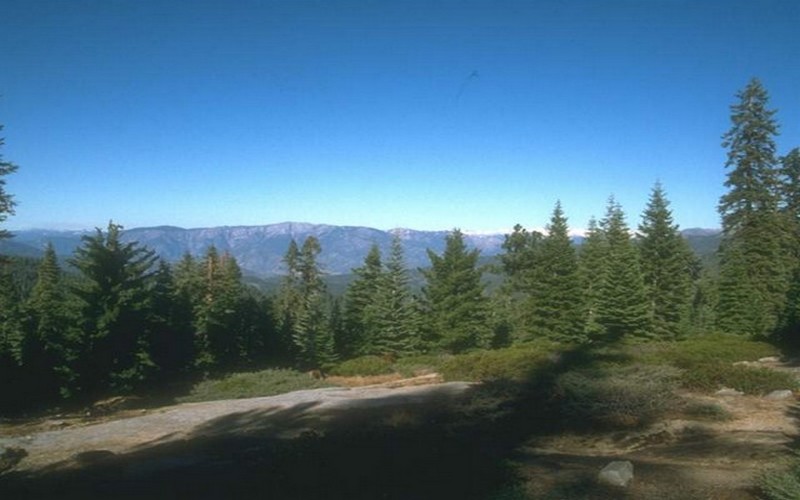 La contribution des forêts à l’élimination de la pauvreté au cœur du Forum des Nations Unies sur les forêts