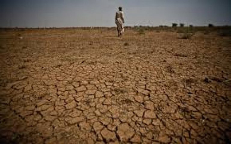 Sénégal : le projet EPIC s’investit dans la restauration des terres dégradées à Djilor Saloum