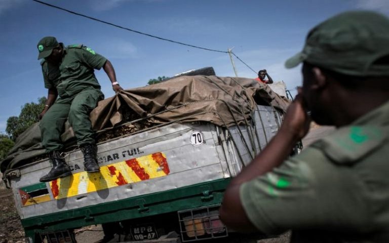 Le Mozambique s’insurge contre l&rsquo;exploitation illégale des forêts