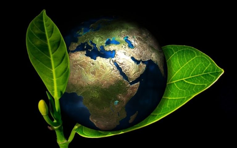 L’Afrique dispose d’un fonds environnemental pour promouvoir le développement durable