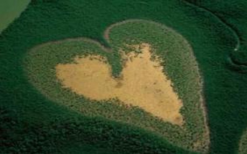 Quand la célébration de la Journée mondiale de l’environnement incite à faire face à l’appauvrissement de la couche d’ozone en Algérie