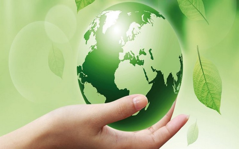 L’édition 2017 de la Journée mondiale de l’environnement célébrée dans un contexte difficile