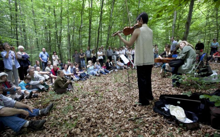 La 25ème édition du festival des forêts allie musique classique et randonnées à la découverte du patrimoine forestier