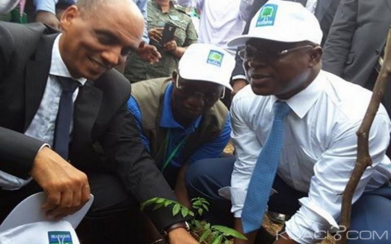 Le taux de déforestation en Côte d’Ivoire oscille entre 5 et 10%
