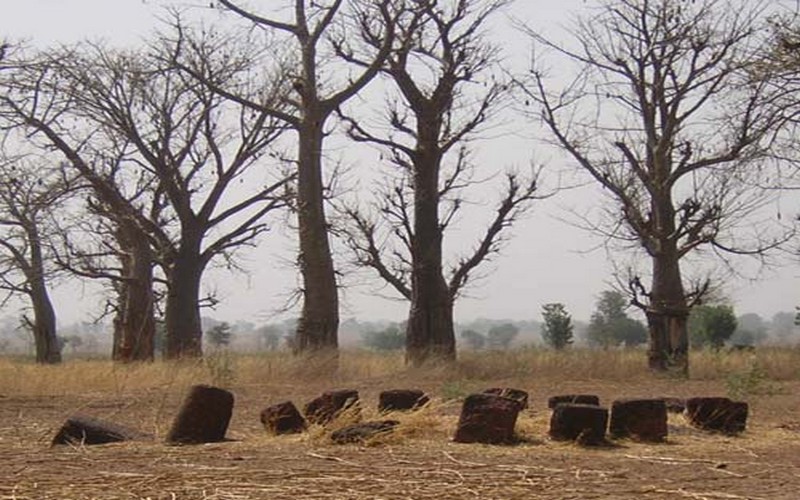Les spécialistes prédisent un climat normal et humide au Sénégal