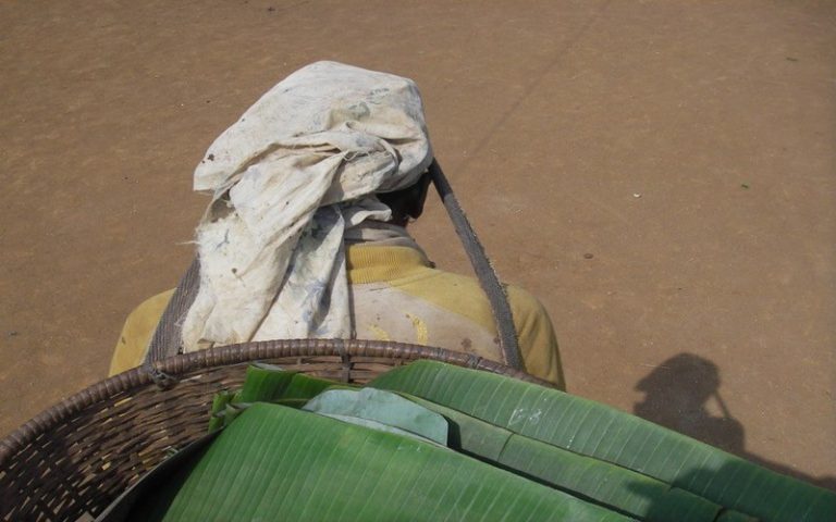 Old Mutual African Agriculture Fund I avec un capital de départ de 50 millions $ bientôt lancé