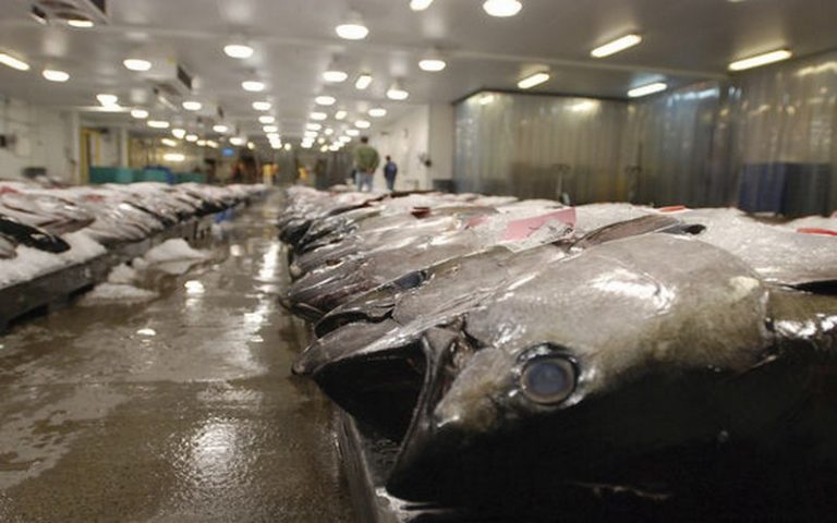 Prenant part au World Economic Forum, 48 entreprises halieutiques signent un pacte contre la pêche illégale du thon d’ici à 2020