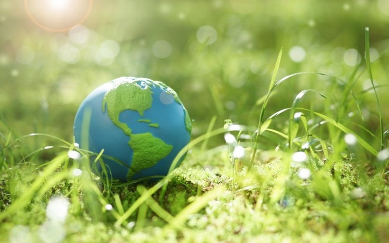 La Coalition Haute Ambition pour la Nature et les Hommes sera lancée le 11 janvier