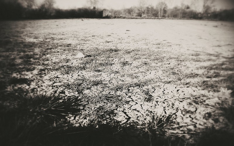 Graziano da Silva parle de la nécessité de « renforcer la résilience » pour «sauver des vies »