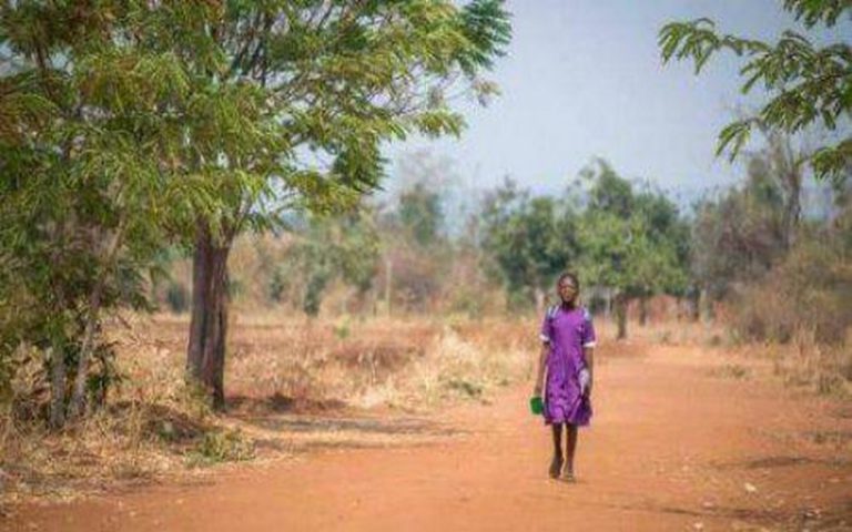 Le gouvernement du Nigéria affirme que la moitié des vivres destinés aux personnes menacées par la faim dans le nord-est du pays est détournée